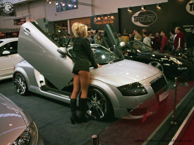 Audi TT mit heisser Blondine - hinten