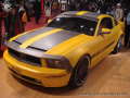 Ford Mustang Cesam