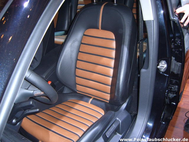 VW Passat Individual - Sitze